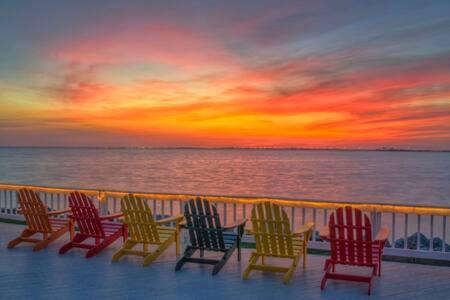 Вілла The Hemingway Subtropical Luxury On The Tampa Bay Екстер'єр фото